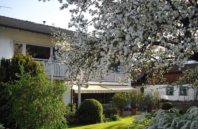 Beautiful, well-kept holiday apartment in "Haus Irmgard" in a quiet location on the outskirts