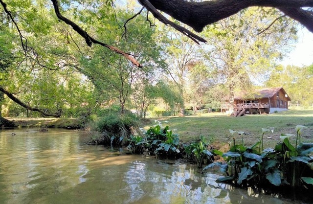 Beautiful wooden house on the banks of a creek 17 km from the ocean