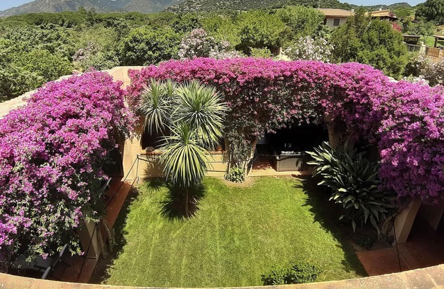 Beautifull villa near to the sea and beach Timiama with large green gard