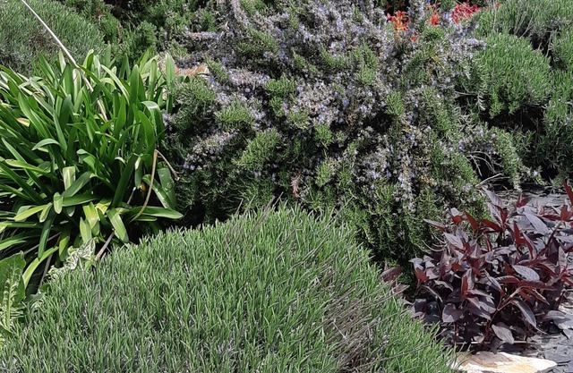 Bed and breakfast at the inhabitant