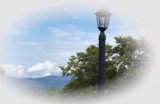 BEECH MOUNTAIN HIGH - WALK TO SLOPES!