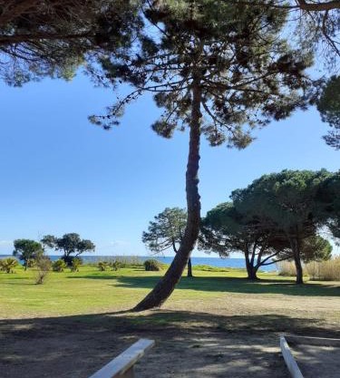 Bel appartement avec piscine- Poggio Mezzana