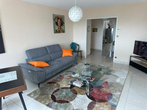 Bel appartement spacieux , lumineux, proche Dijon centre auditorium