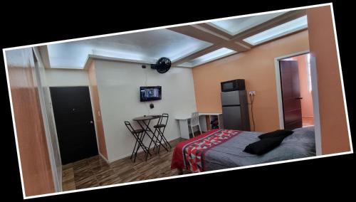 Bello Depa CxB 202 - rentaflex com mx