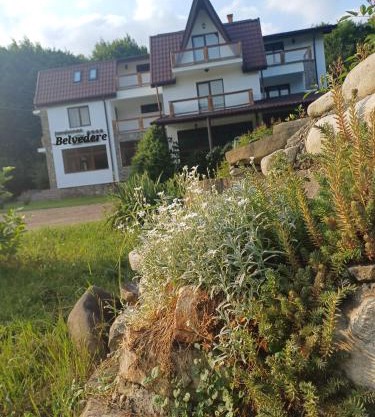 Belvedere Greșu - ex Dalia