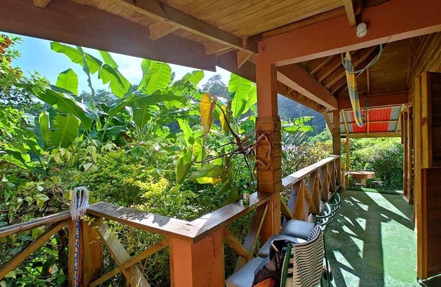 Berkey's Jungle Paradise