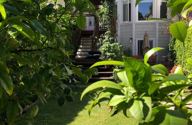 Best Location Garden Condo in North Beach