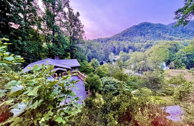 Best View in Bat Cave