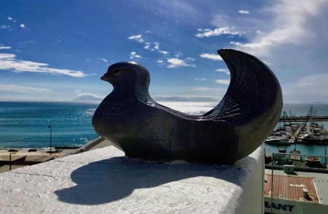 Bikini Beach Penthouse