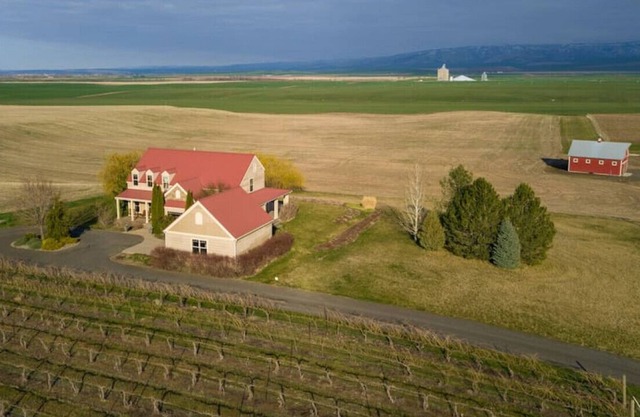 Birch Creek Vineyard · Birch Creek Vineyard - Stunning Views