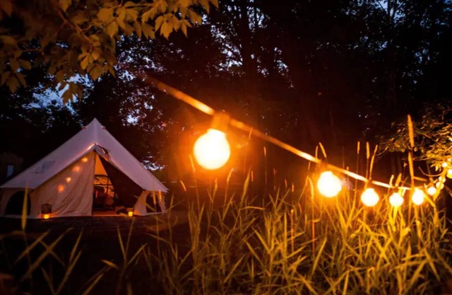 Birch Tent at The Grove Glamping