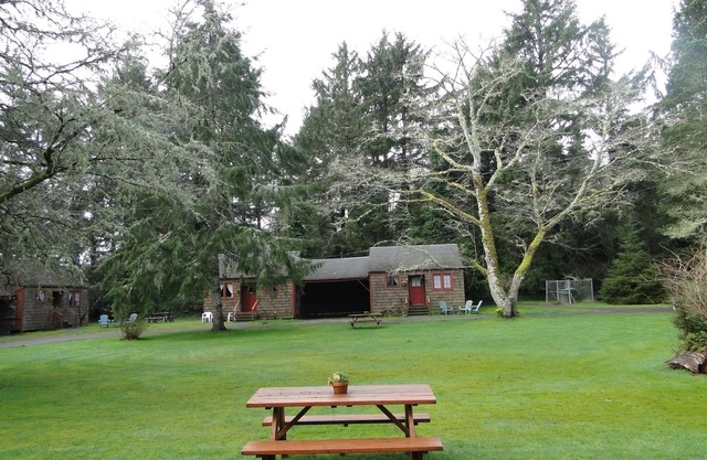 Bird cottage- Studio