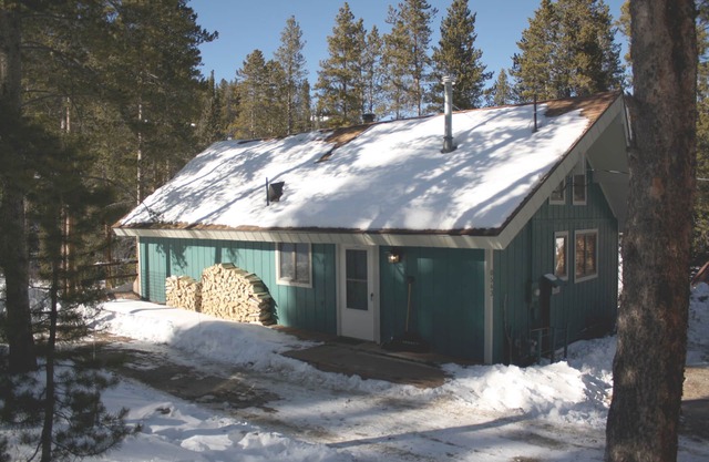 Black Bear Crossing: Pet-Friendly Bliss with a Touch of Retro Nostalgia