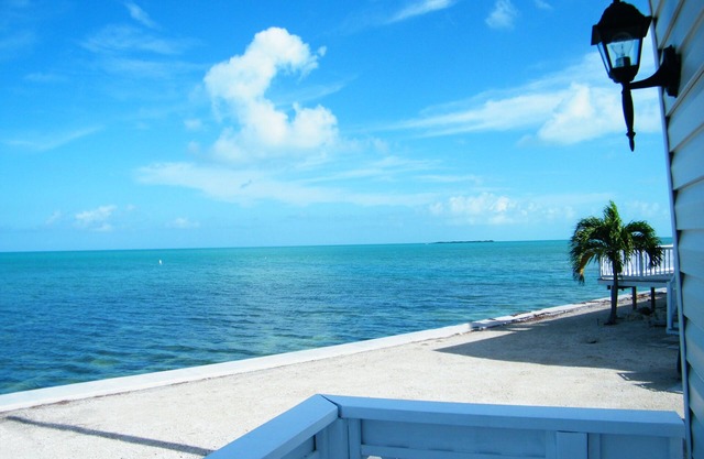Blue Isle Gem II- Gulf of America in the front yard