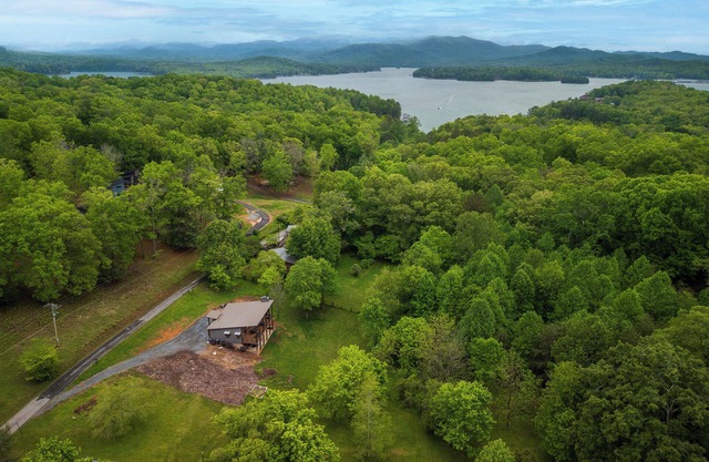 Blue Mountain Cove | Mountain Modern Fun