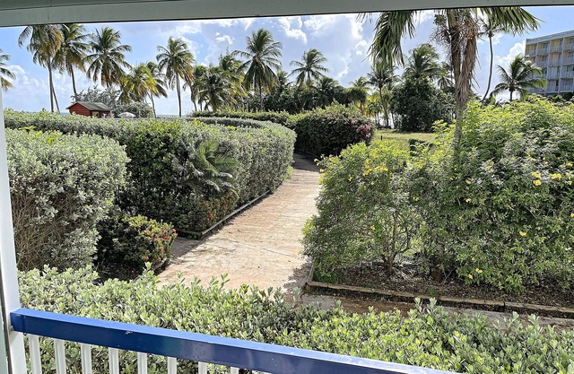 Blue paradise