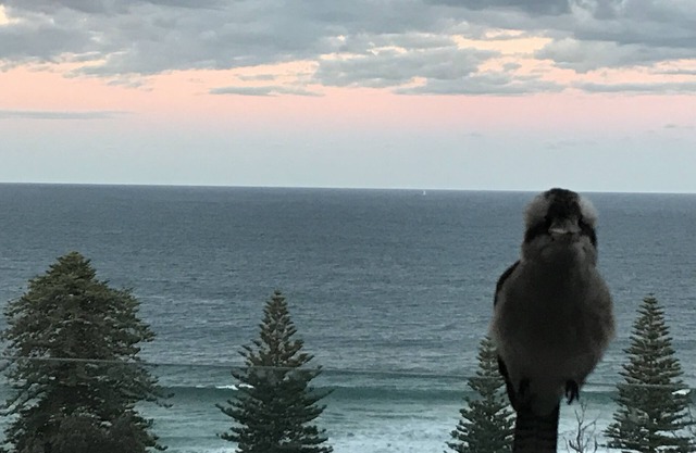 Blue Seas Villa, Sth Avoca Magnificent Beach & Ocean Views