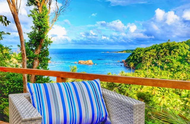 Blue Whale Villa - Deluxe Suite