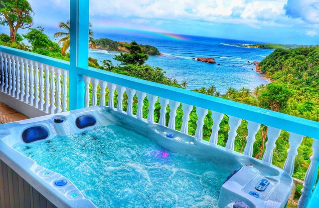 Blue Whale Villa - Penthouse