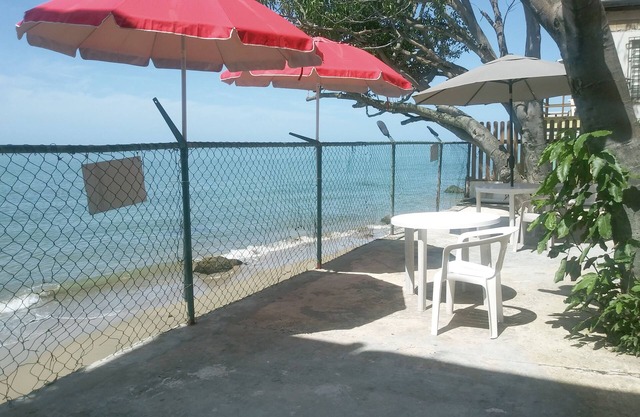 Blue Whales Apt. 2 BR for 4 guest or 1 BR for 2 guest complete privates.