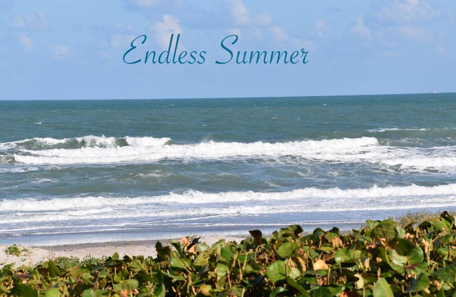 BOOK BETWEEN SEPT. 2, 2025 TO NOVEMBER 21, 2025 AND SAVE 20 DOLLARS A NIGHT.