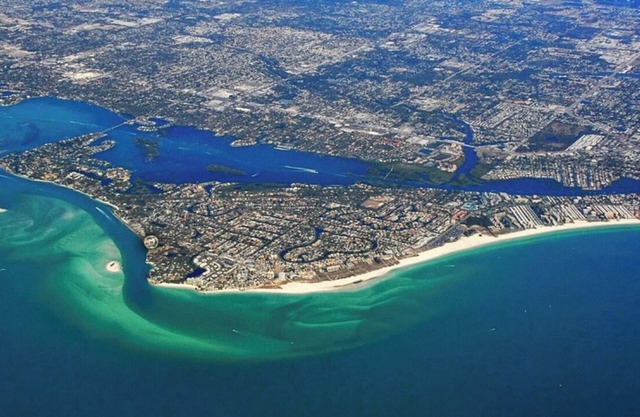 🦩Book Me Baby! Wildflower Inn Siesta Key #1 Bromeliad🦩