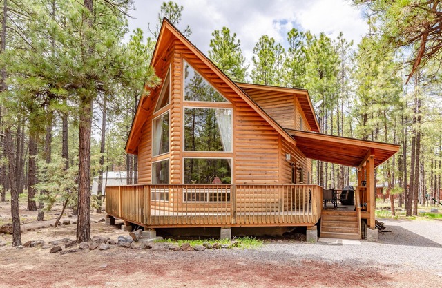 Book now for Snow! Raccoon Ranch