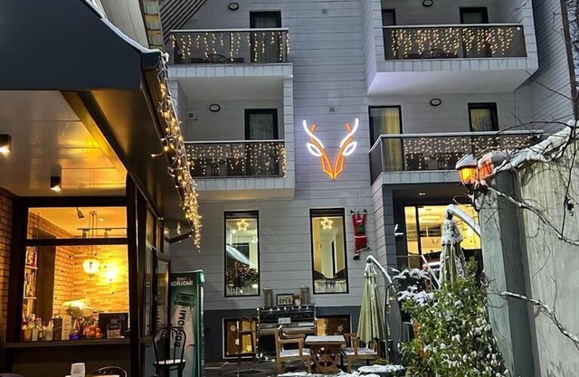 Borjomi Underwood Hotel