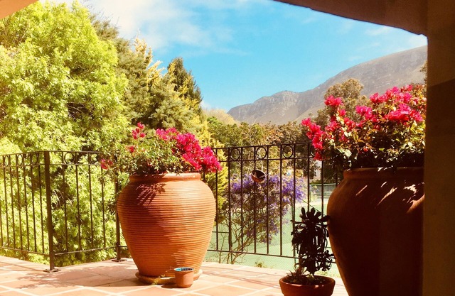 Botanists heaven. Rare plant species only in Fernkloof. Tennis court/lap pool.