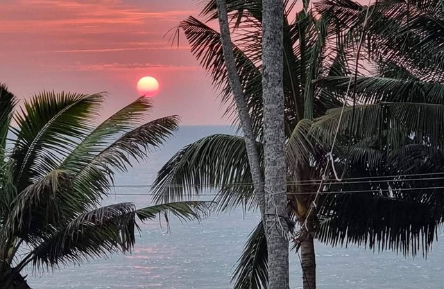 Boutique Hotel nestled on pristine shores of the Arabian sea on Kovalam Beach.