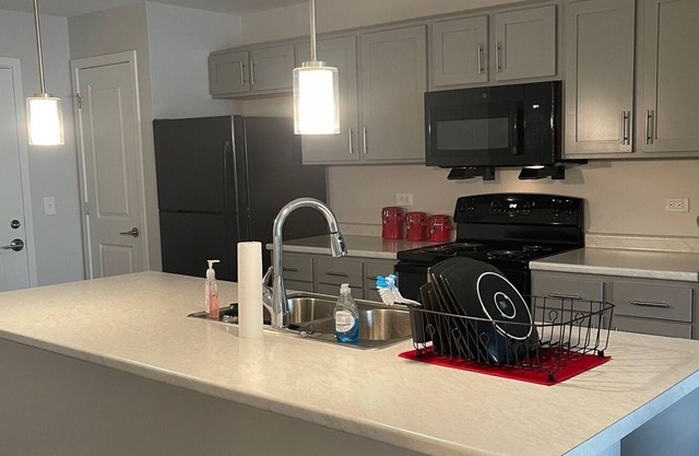 Brand New 2 bedroom downtown Apartment