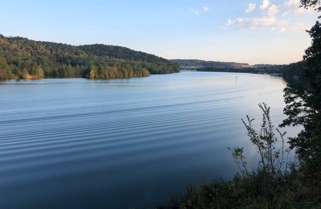 Breathtaking Lake View w/Pool Nearby!- Knoxville/Oak Ridge