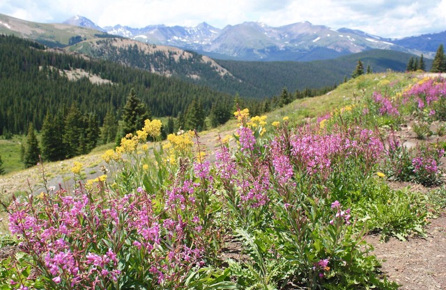 Breckenridge Mountain Chalet, Easy access to Ski Areas, hiking, biking and more!