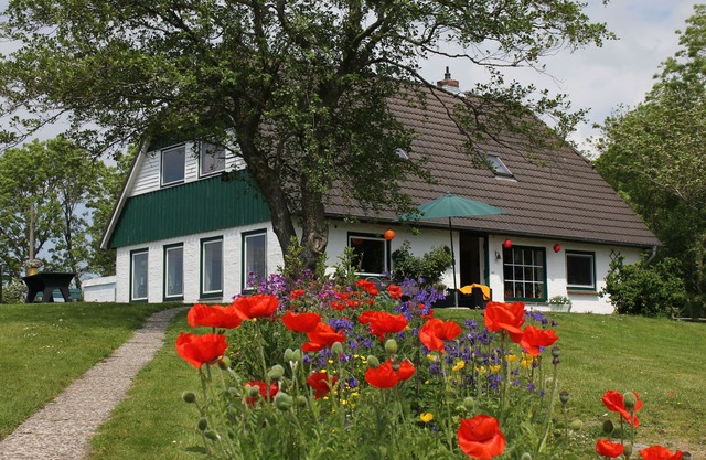 bright apartment in a secluded location with a view of nature, pets welcome