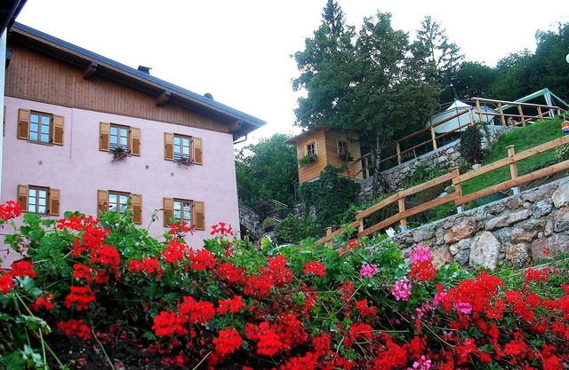 Bright apartment in the countryside of the Adamello Brenta