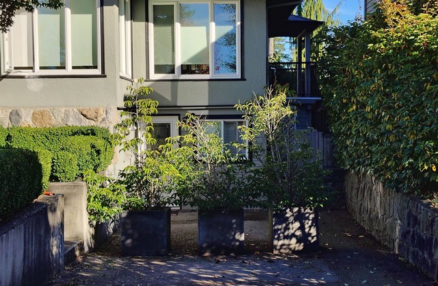 Bright Independent Guest Suite|Quiet, Central,Steps to Nature