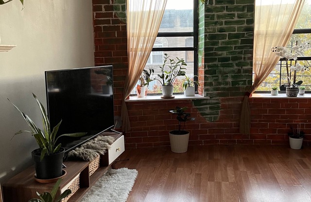 Bright studio in Hamilton Heights