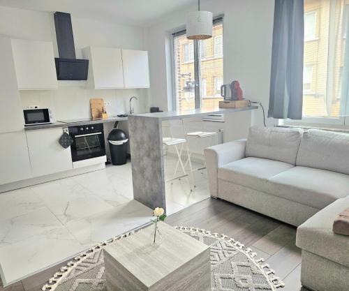 Brussels apartment with terrace 1