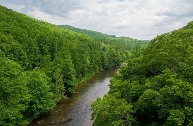 Bucky's Hideaway - Private river retreat with hot tub!