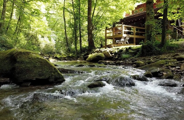 Buffalo Creek Cabin | Hot Tub & Creekfront Escape