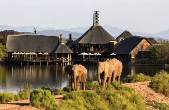 Buffelsdrift Game Lodge