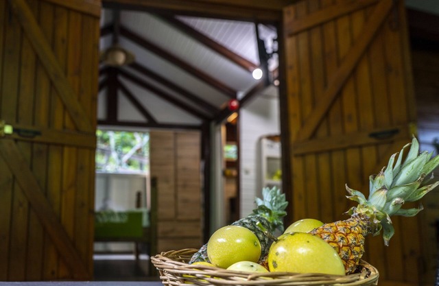 Bungalow Nid Damouw - Ecolodge - Nature