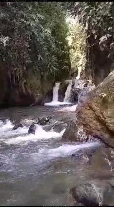 Cabaña buena vista