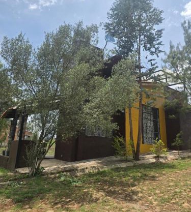 Cabaña Eucalipto 32