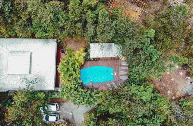 Cabane Insolite Perchée Dans un Jardin Tropical. Le Nid des Colibris