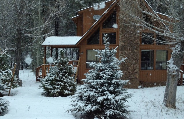 Cabin in the pines