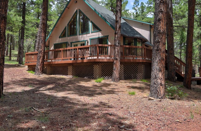 Cabin Retreat in Tall Pines on 2.5 acres