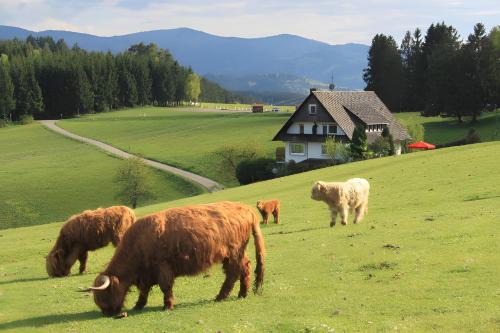 Café Pension Pfaus Heidburg
