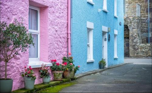 Calebs Cottage- Solva harbour
