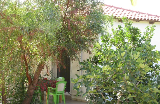 Calm located, amid an olive grove, close to the beach, wifi | holiday house Ilia